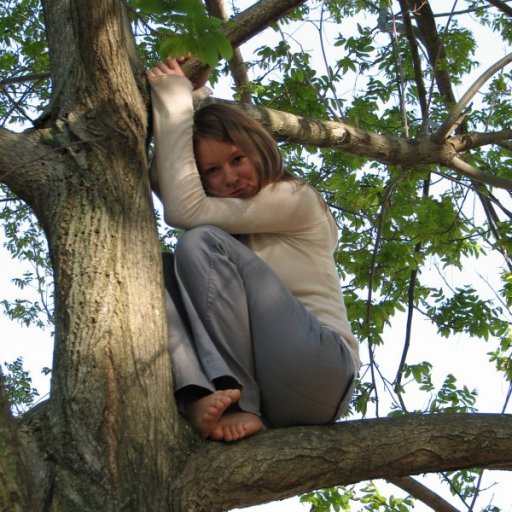 Dee in tree