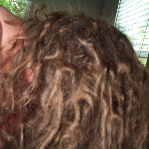 4-month old dreads with lots of zigzags and loops 005