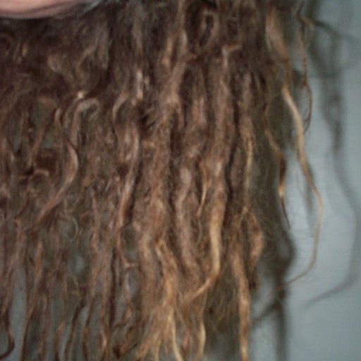 4-month old dreads with lots of zigzags and loops 004