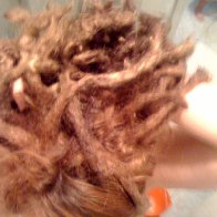 14 month dreads