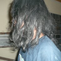1 year and 1 1/2 months neglect, organic, free form dreadlock  Read more: 1 year and 1 1/2 months neglect, organic, free form dreadlock - dreadlocks forums http://www.dreadlockssite.com/photo/1-year-a