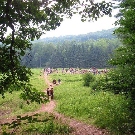 Main Meadow From Bitch Hill