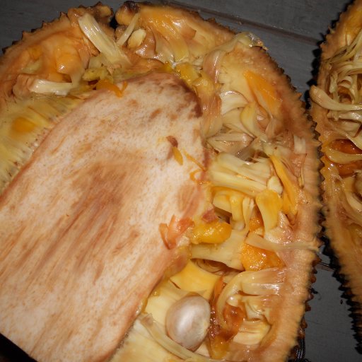 Jackfruit after the Frenzy