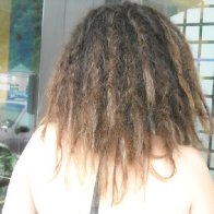 Baby Dreads Day 1