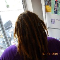 My back dreadies.... they are about 6 weeks old