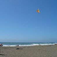 cobra kite on the beach