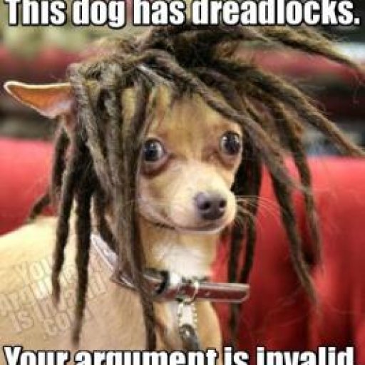 this_dog_has_dreadlocks.thumbnail