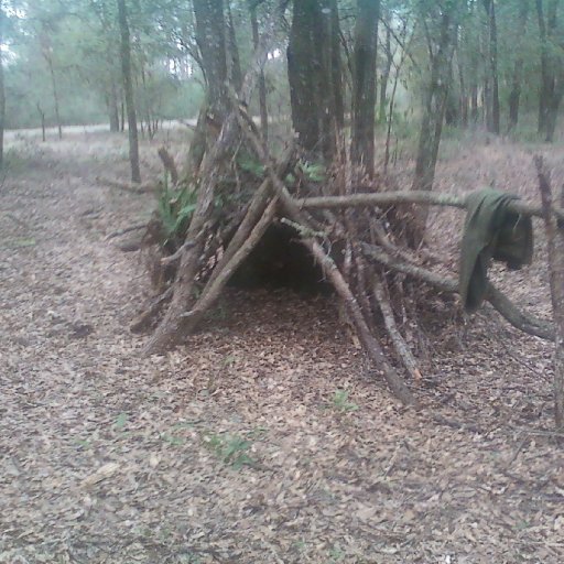 This is a shelter I build in Ocala, FL