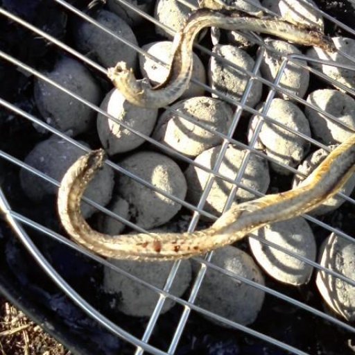 grilled snake