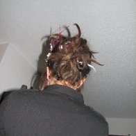 My typical updo