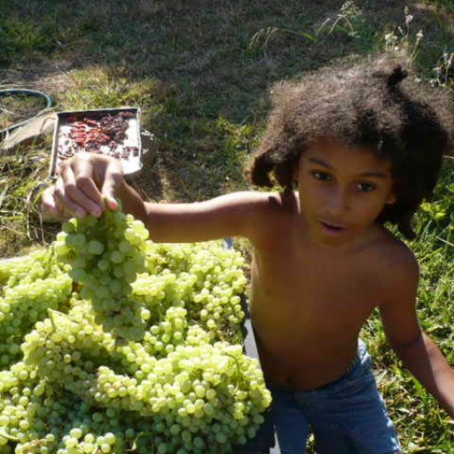 My son with the huge grape harvest