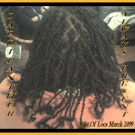 Dreads Starts March 2009