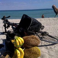 Durian on the Beach!