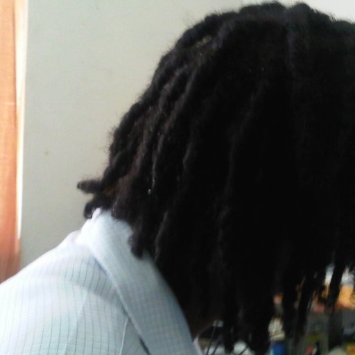 1month, 20day old dreads