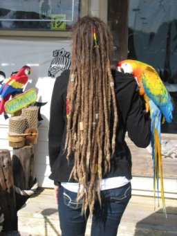 Natural Dreads!