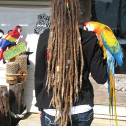 Natural Dreads!