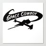 Space Cowboy 420